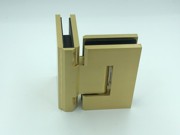 ES2.90 Glass to Glass Shower Hinge in Brushed Gold