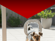 Instagram post - Toughened Glass Reality Check