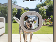 Instagram post - The 5 pet door mistakes that cost you money