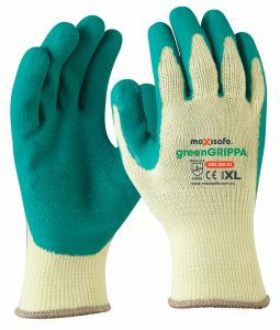 Pair of Gloves
